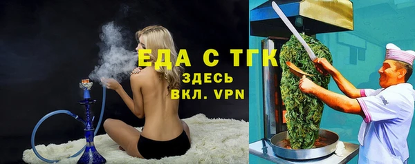 тгк Снежногорск